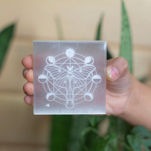 Butterfly & Moonphase carved Selenite Plate