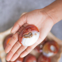 Load image into Gallery viewer, Red Agate with little druzy Palm Stone | Grounding &amp; Stability