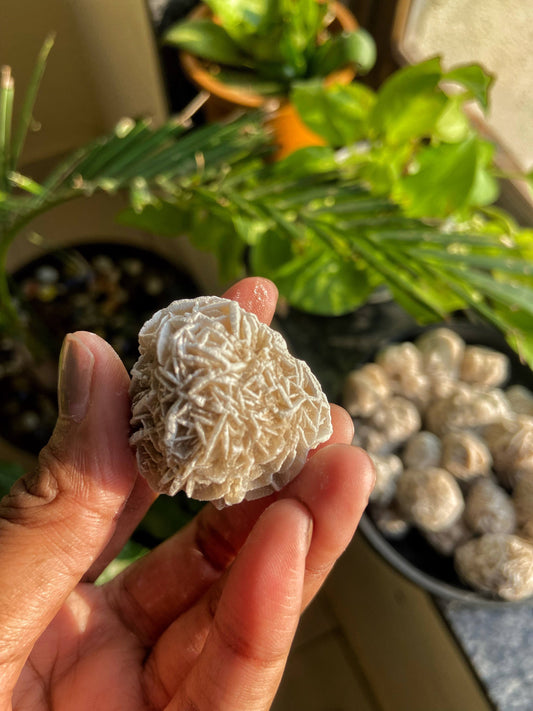 Desert Rose Crystals & Stones