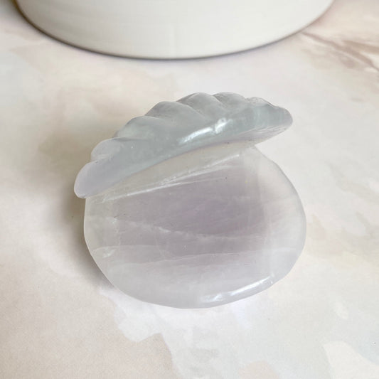Fluorite Shell | Stone For Concentration Crystal & Stones