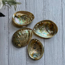 Load image into Gallery viewer, Small size Abalone Shell - 3 Inches approx
