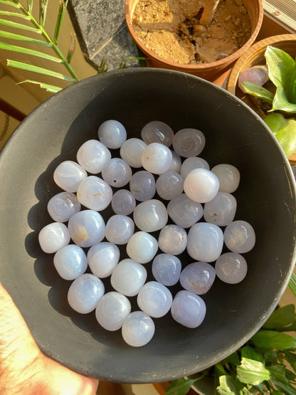 Blue Chalcedony Tumble | Balances Throat Chakra & Enhance Communication Skills Crystal Stones