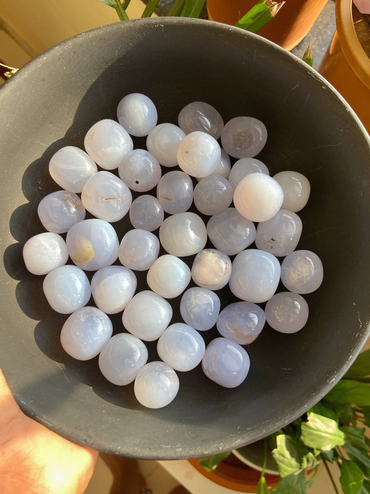 Blue Chalcedony Tumble | Balances Throat Chakra & Enhance Communication Skills Crystal Stones