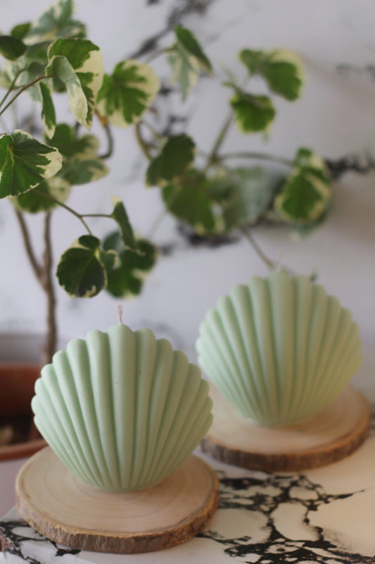Green Shell Soy Candle