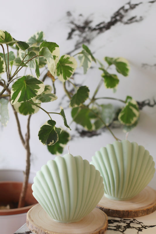 Green Shell Soy Candle