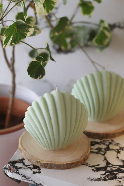 Green Shell Soy Candle - Set of 2