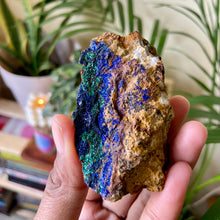 Load image into Gallery viewer, Azurite with Malachite - 53 Gm