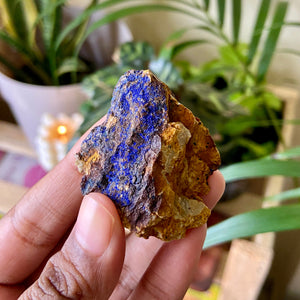 Azurite Mineral- 24 Gm