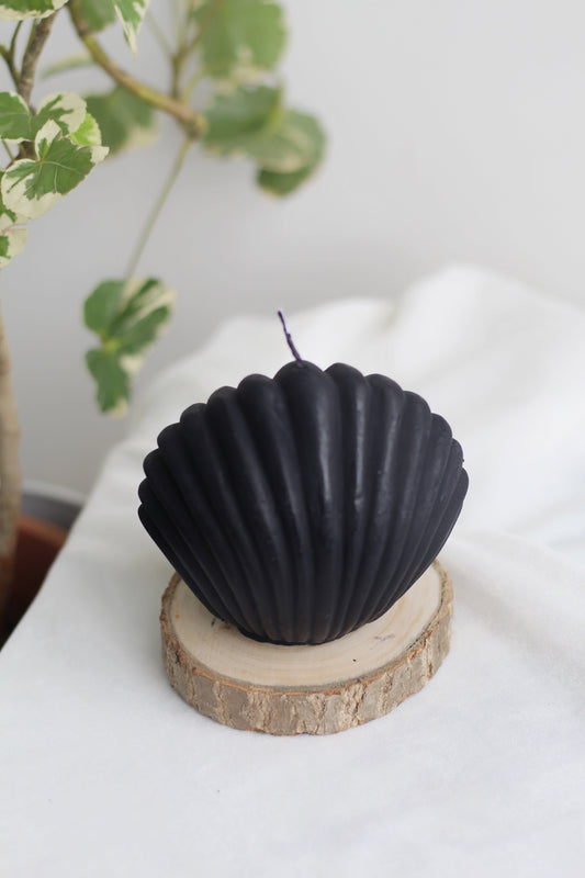 Black Shell Soy Candle