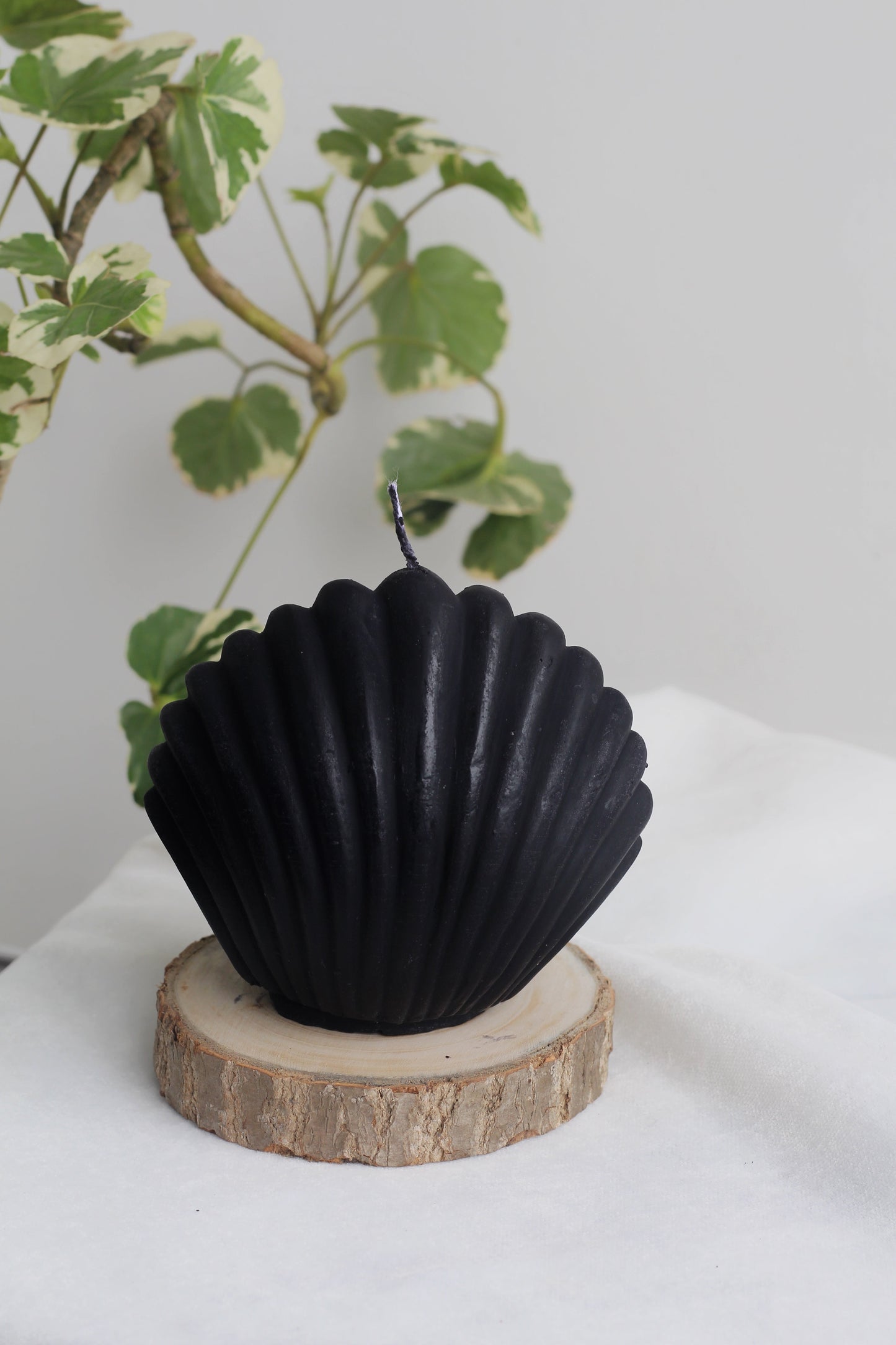 Black Shell Candle From Figure Candle Collection