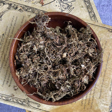 Load image into Gallery viewer, Deer Tongue Herb - 30 Gram