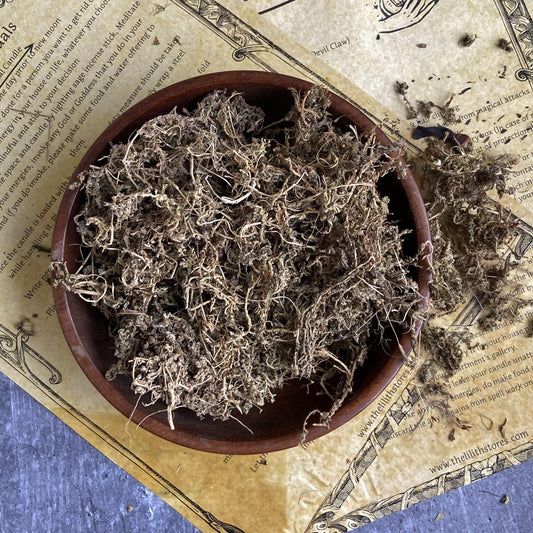 Mugwort 30 Gram Herbs & Roots