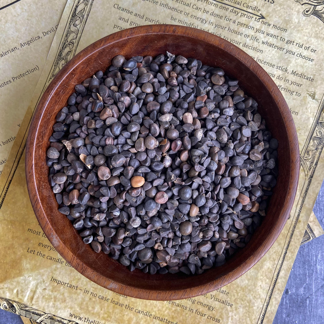 Morning Glory - 30 Gm