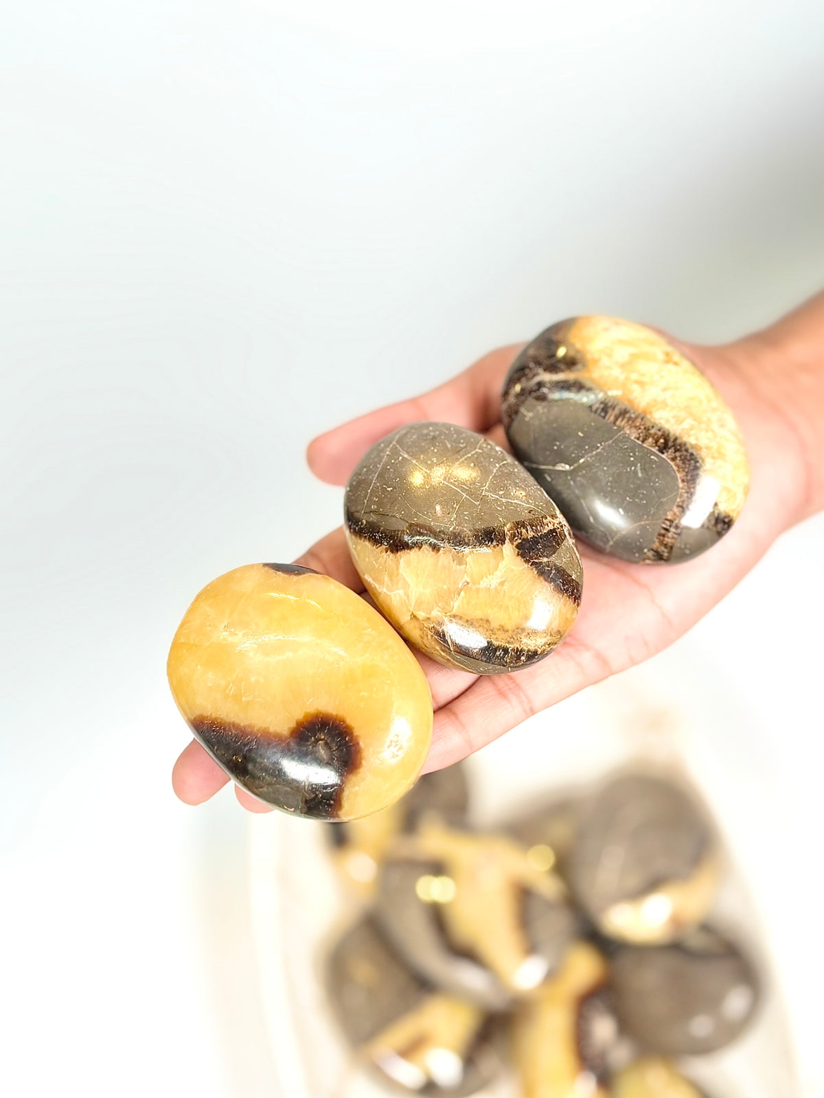 Dragon Stone Palm Stone
