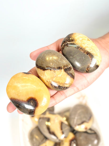 Dragon Stone Palm Stone