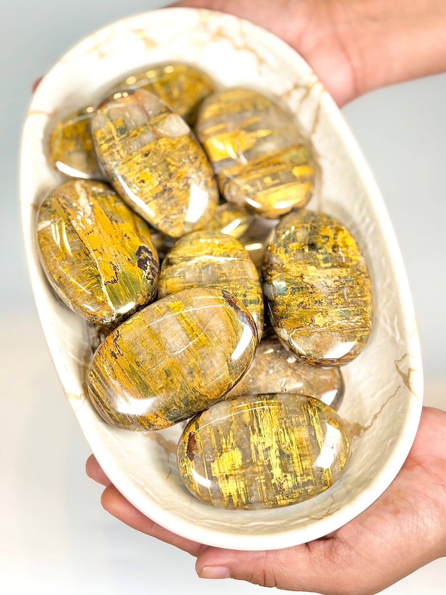 Natural Nellite Palm Stone