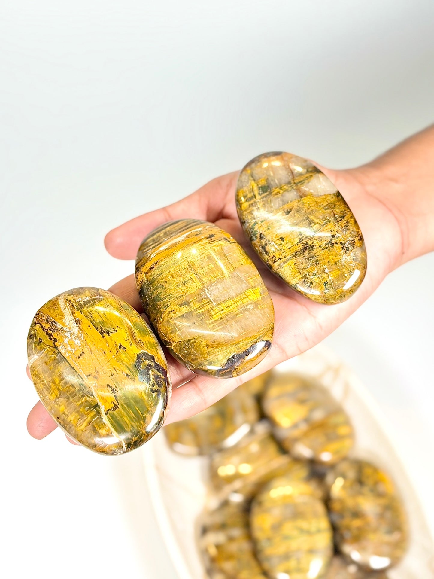 Natural Nellite Palm Stone