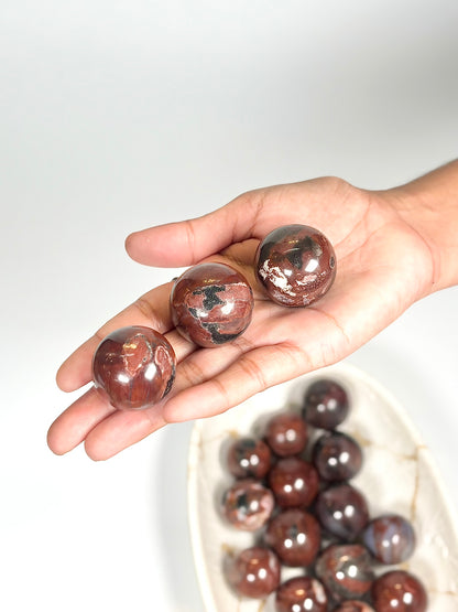 Red Petrified Wood Mini Sphere