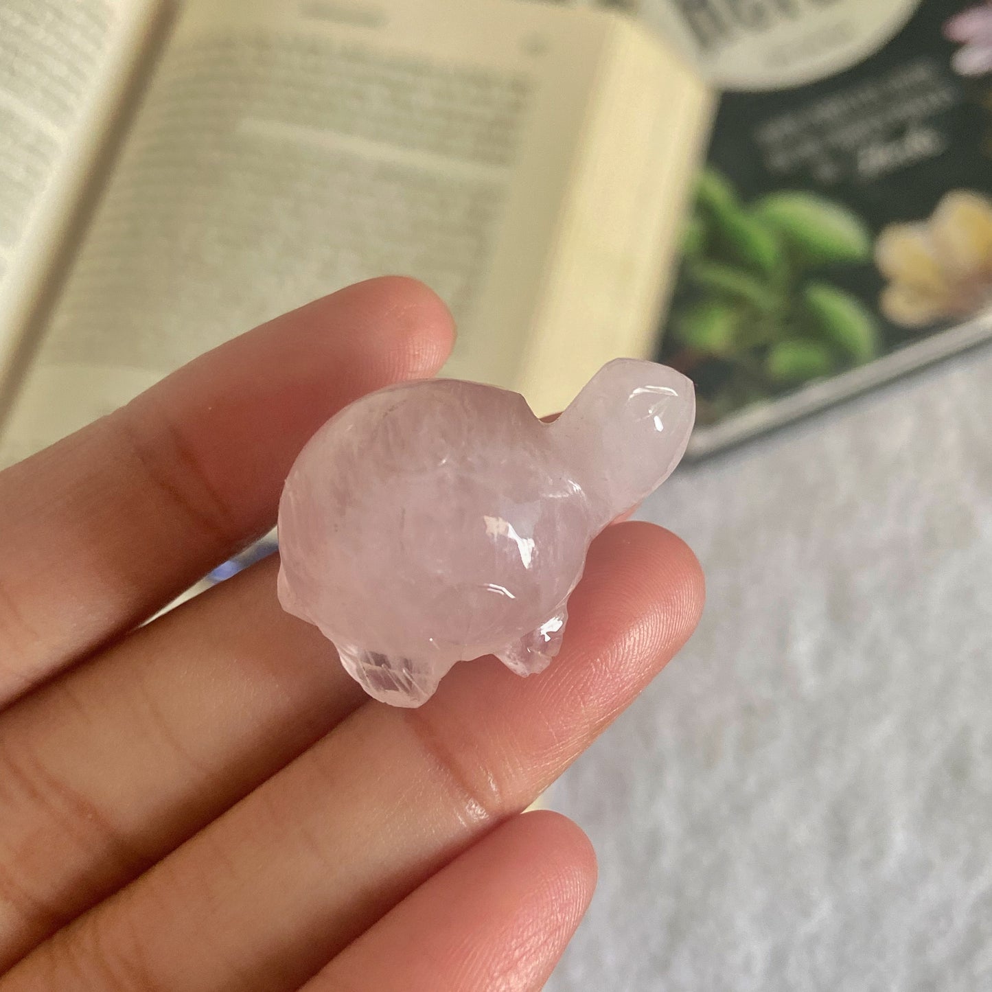 Rose Quartz Turtle Crystal Carving | Promotes love & Self-love