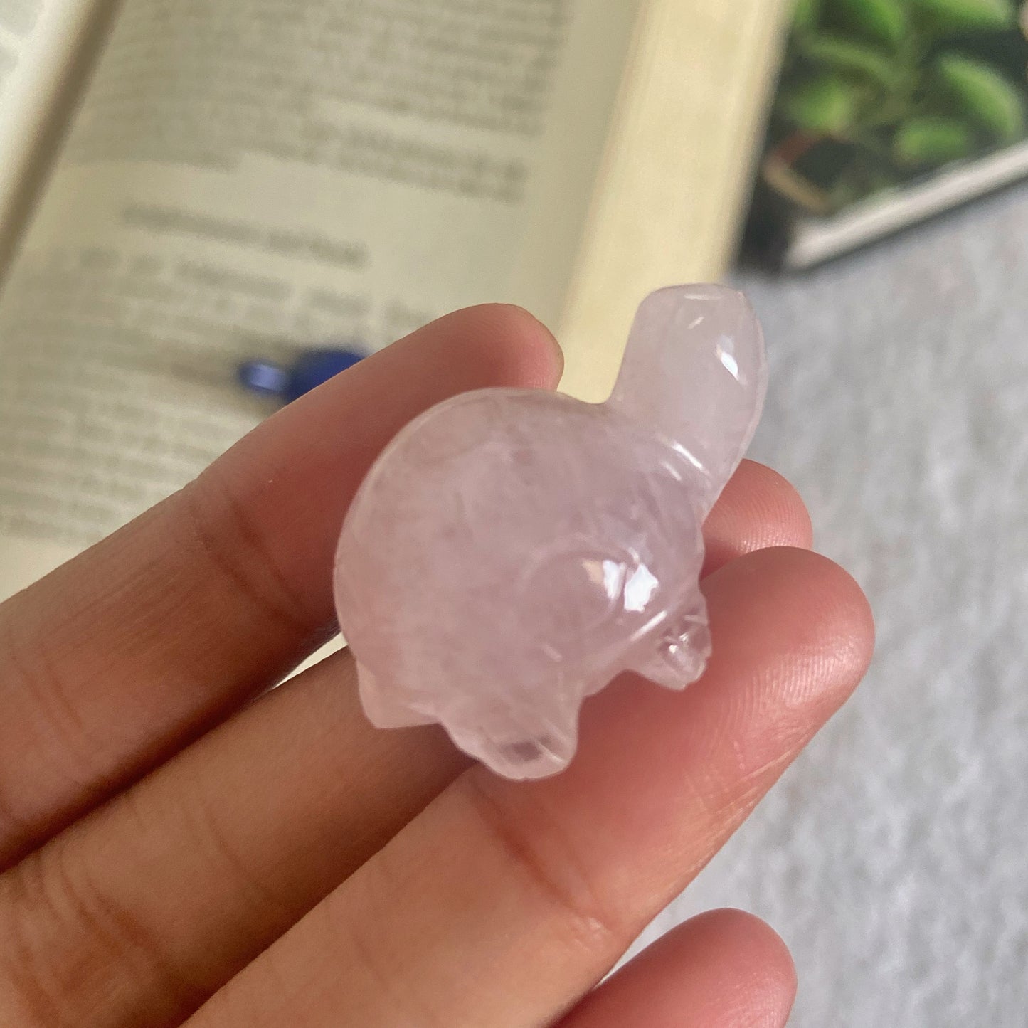 Rose Quartz Turtle Crystal Carving | Promotes love & Self-love