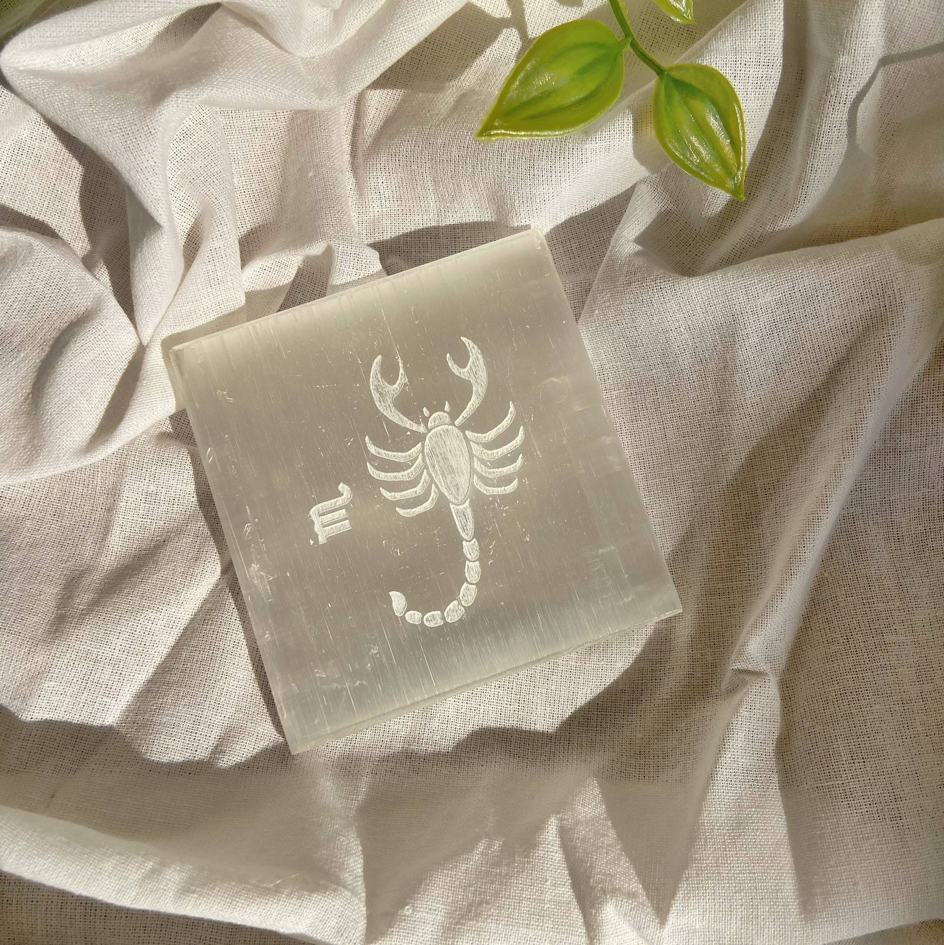 Scorpio Zodiac Carved Selenite Plate - 3 Inches Crystals & Stones