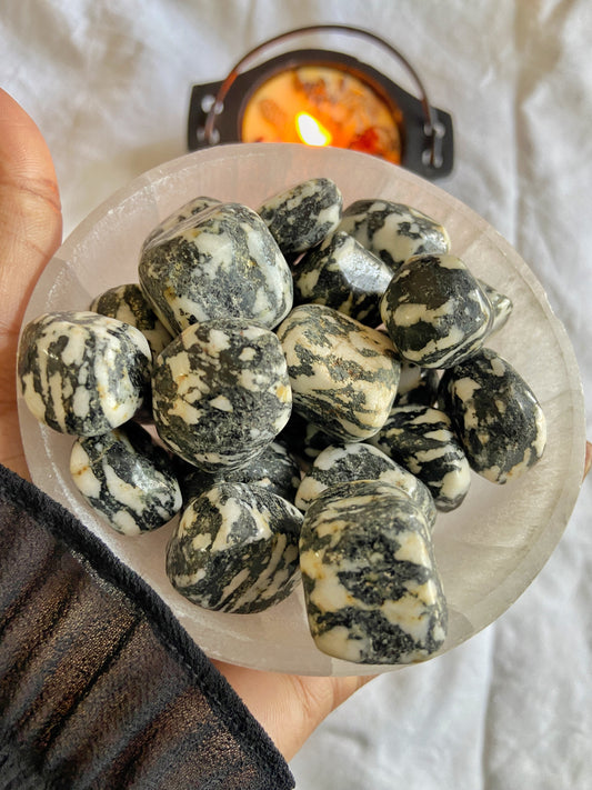 Zebra Jasper Tumble | Balances Masculine & Feminine Energy Crystal Stones