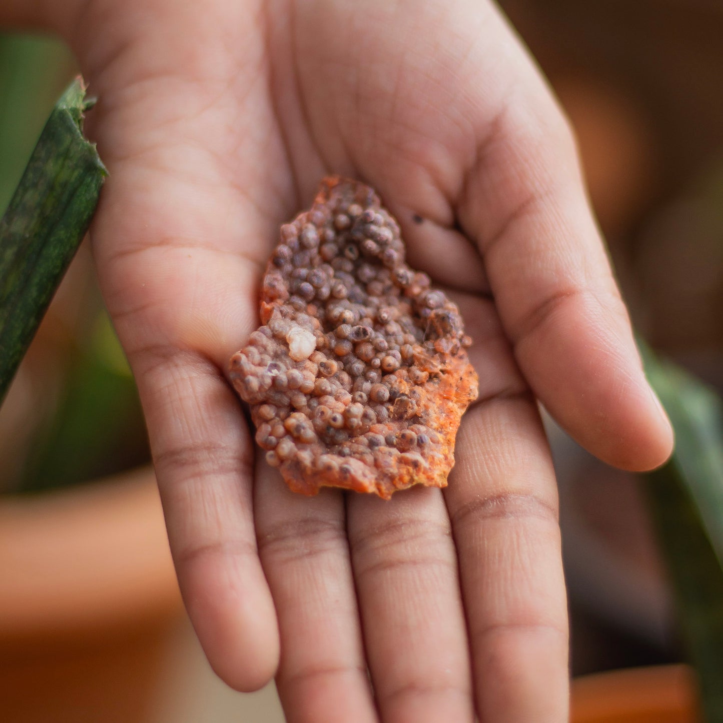 Calcite Geode - 17 Gm | Peace & Harmony