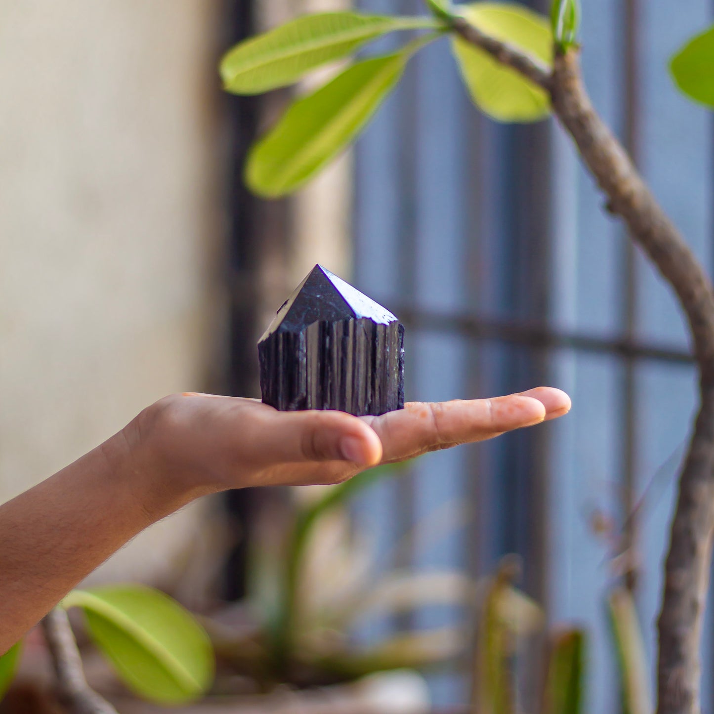 Raw Black Tourmaline with Polished Point - 233 Gm | Stone of Protection