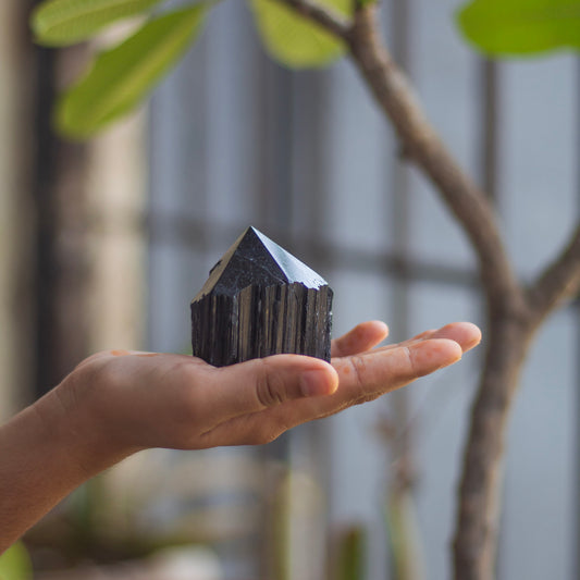 Raw Black Tourmaline with Polished Point - 233 Gm | Stone of Protection