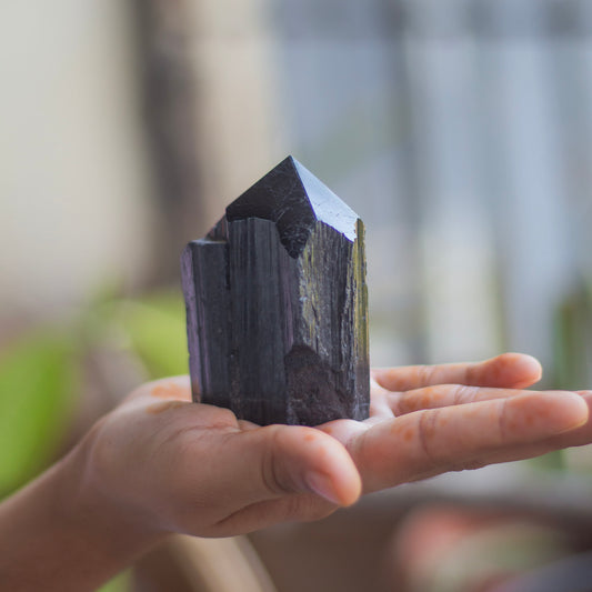 Raw Black Tourmaline with Polished Point - 232 Gm | Stone of Protection