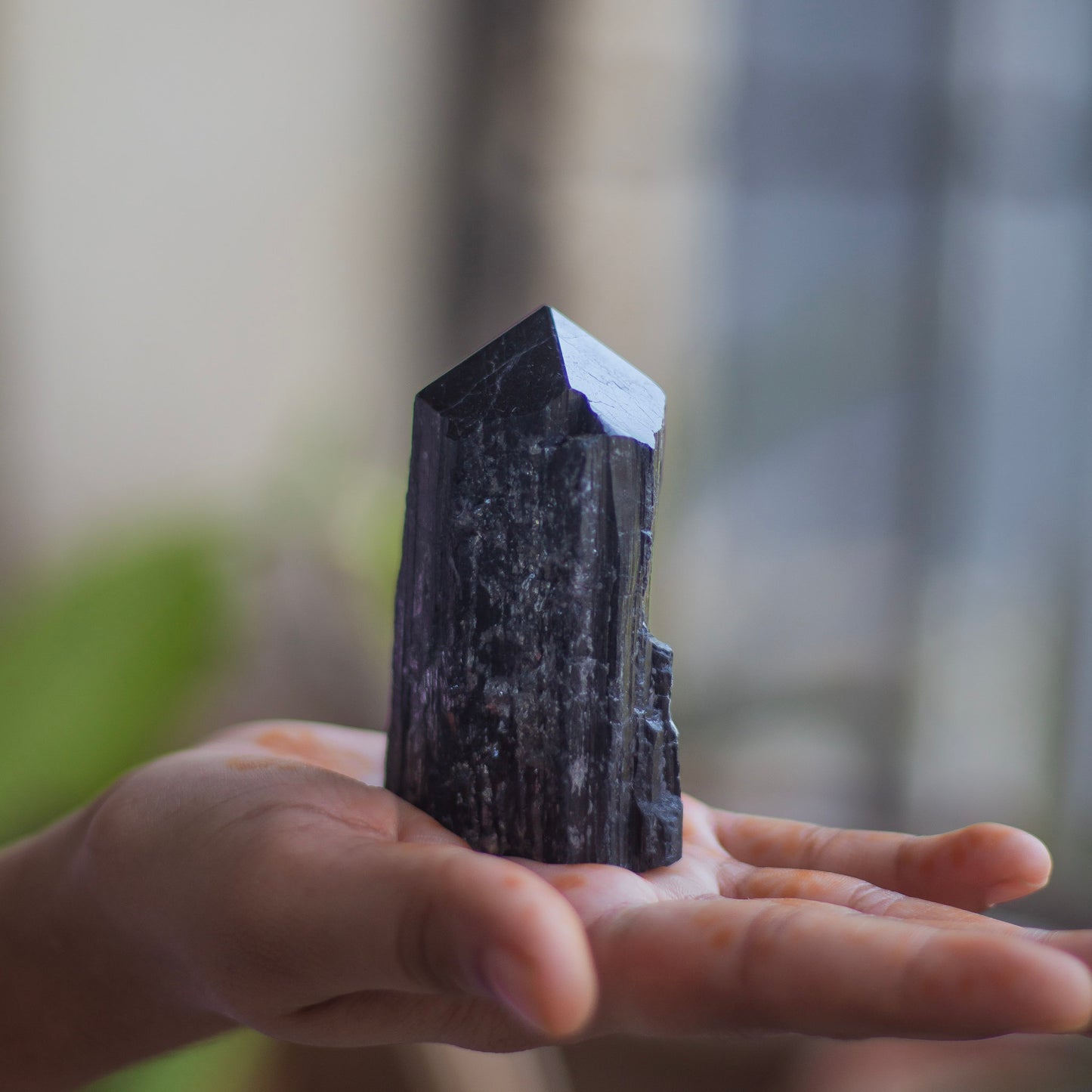 Raw Black Tourmaline with Polished Point - 171 Gm | Stone of Protection