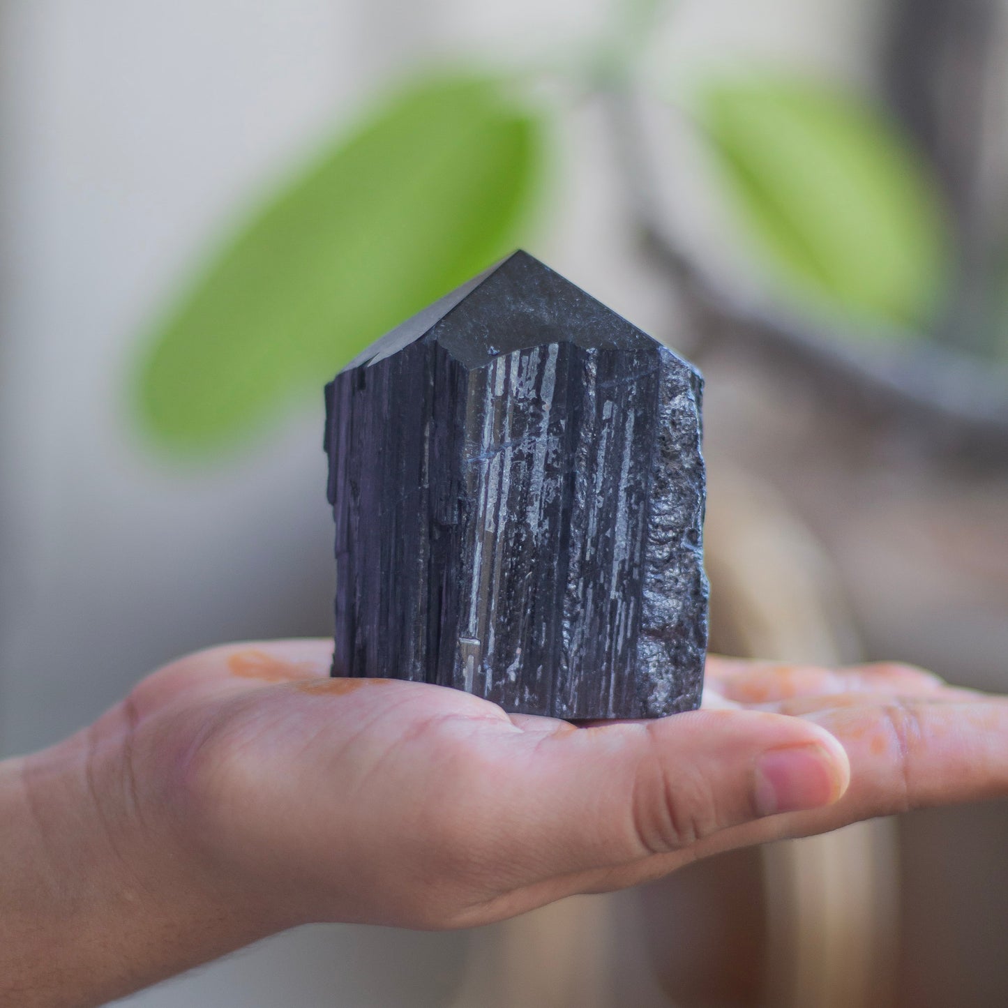 Raw Black Tourmaline with Polished Point - 253 Gm | Stone of Protection