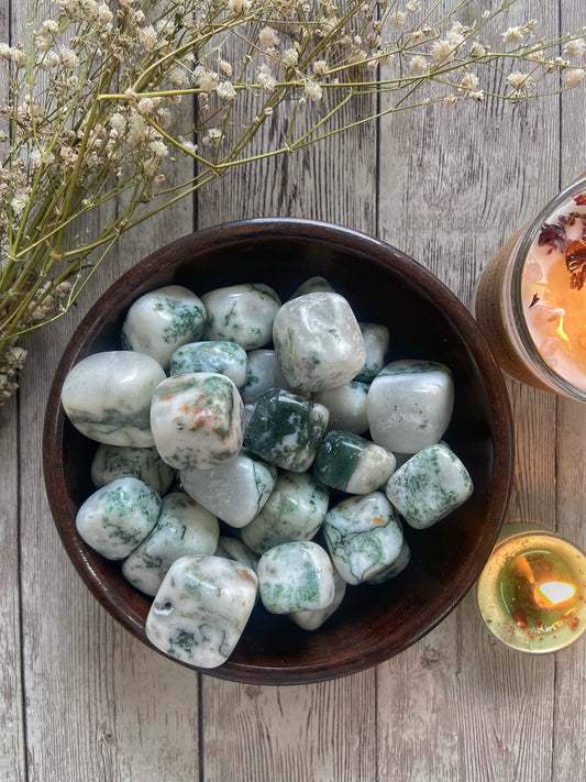 Tree Agate Tumble | Financial Abundance & Balances Yin Yang Crystal Stones