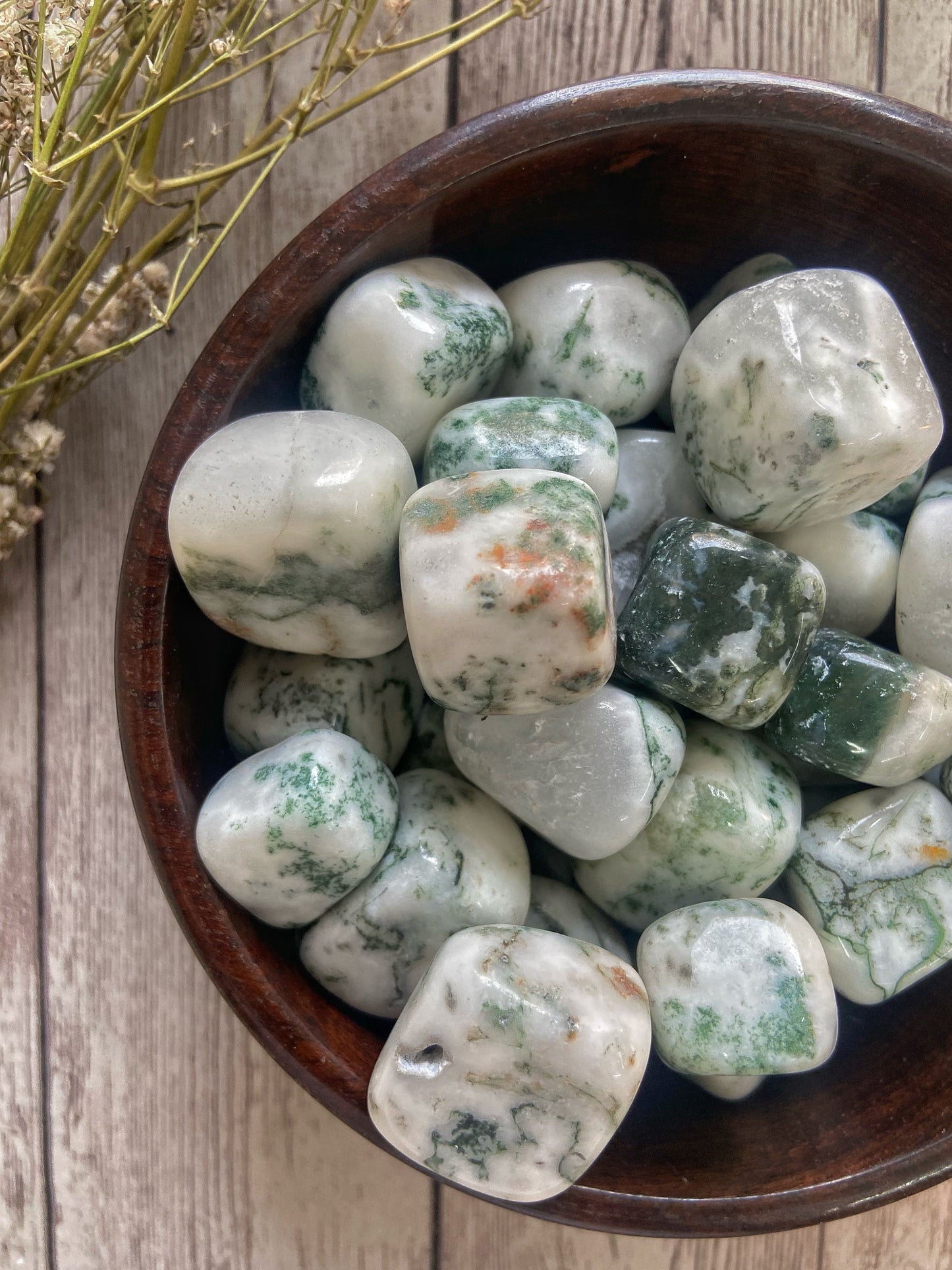 Tree Agate Tumble | Financial Abundance & Balances Yin Yang Crystal Stones