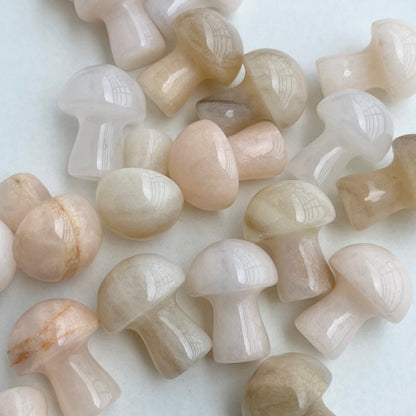 Peach Moonstone Mushroom - Pack of 3  | Compassion & empathy