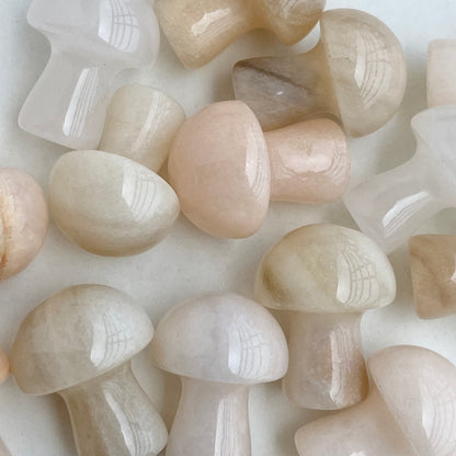 Peach Moonstone Mushroom - Pack of 3  | Compassion & empathy