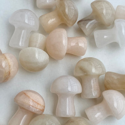 Peach Moonstone Mushroom - Pack of 3  | Compassion & empathy