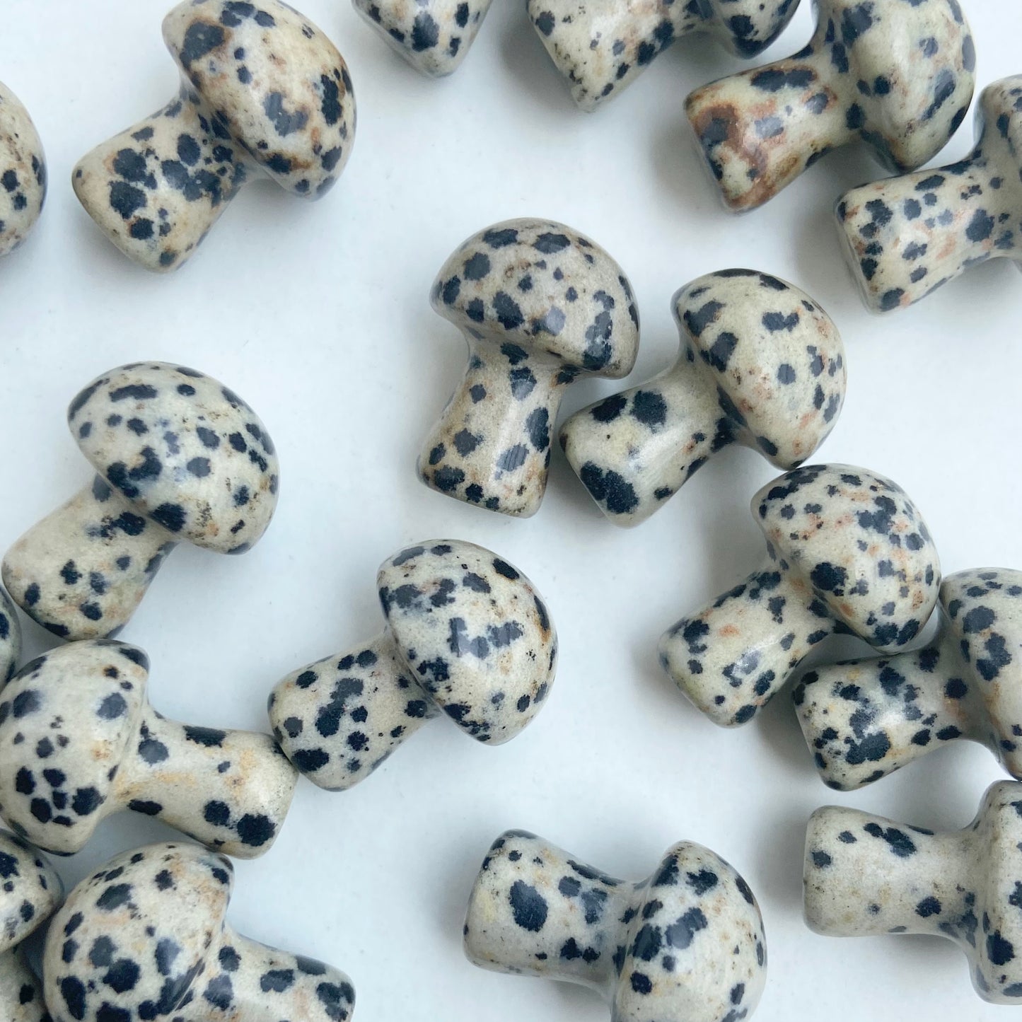 Dalmatian Jasper Mushroom - Pack of 3  | Promotes Joy & Release Negativity