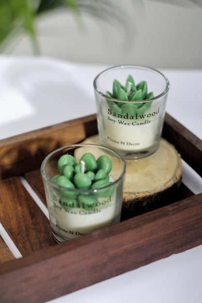 Combo Succulent Candle - Sandalwood | Set of 2