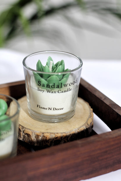 Combo Succulent Candle - Sandalwood | Set of 2