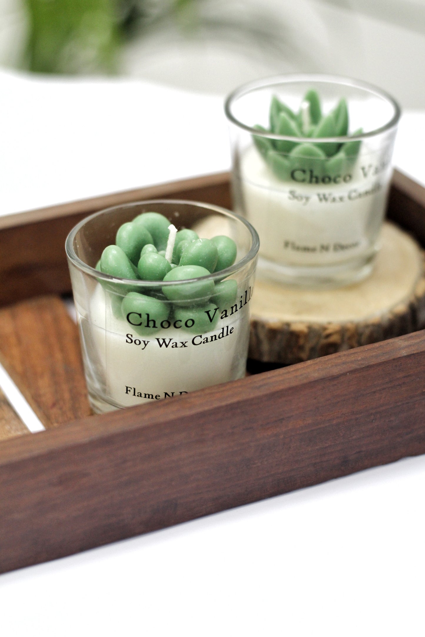 Combo Succulent Candle - Choco Vanilla | Set of 2