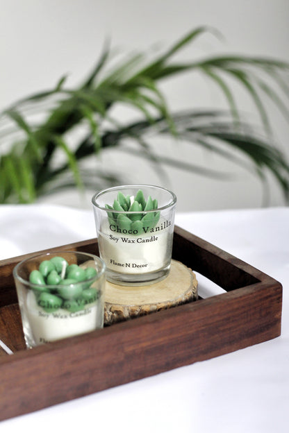 Combo Succulent Candle - Sandalwood | Set of 2