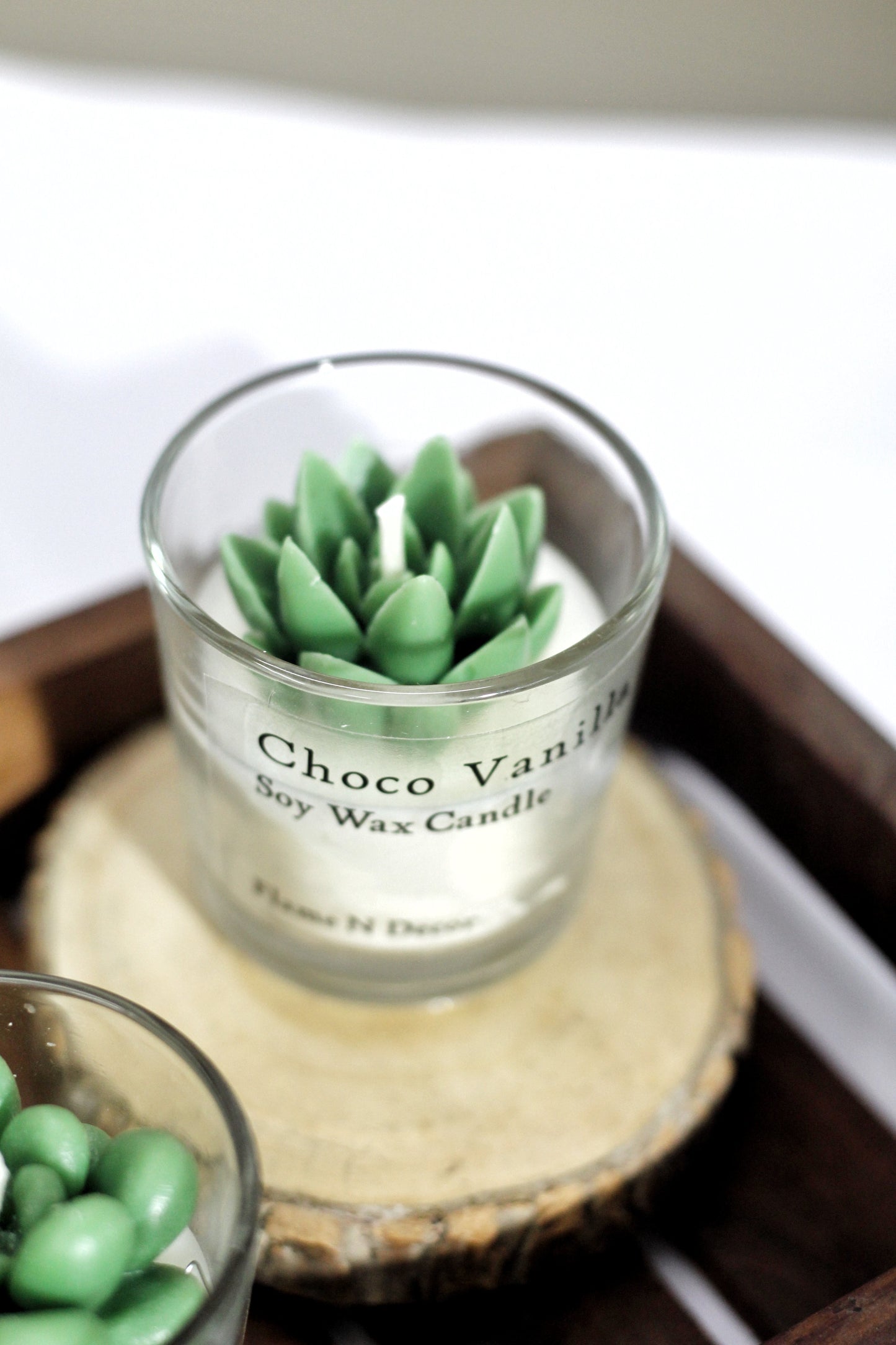 Combo Succulent Candle - Choco Vanilla | Set of 2