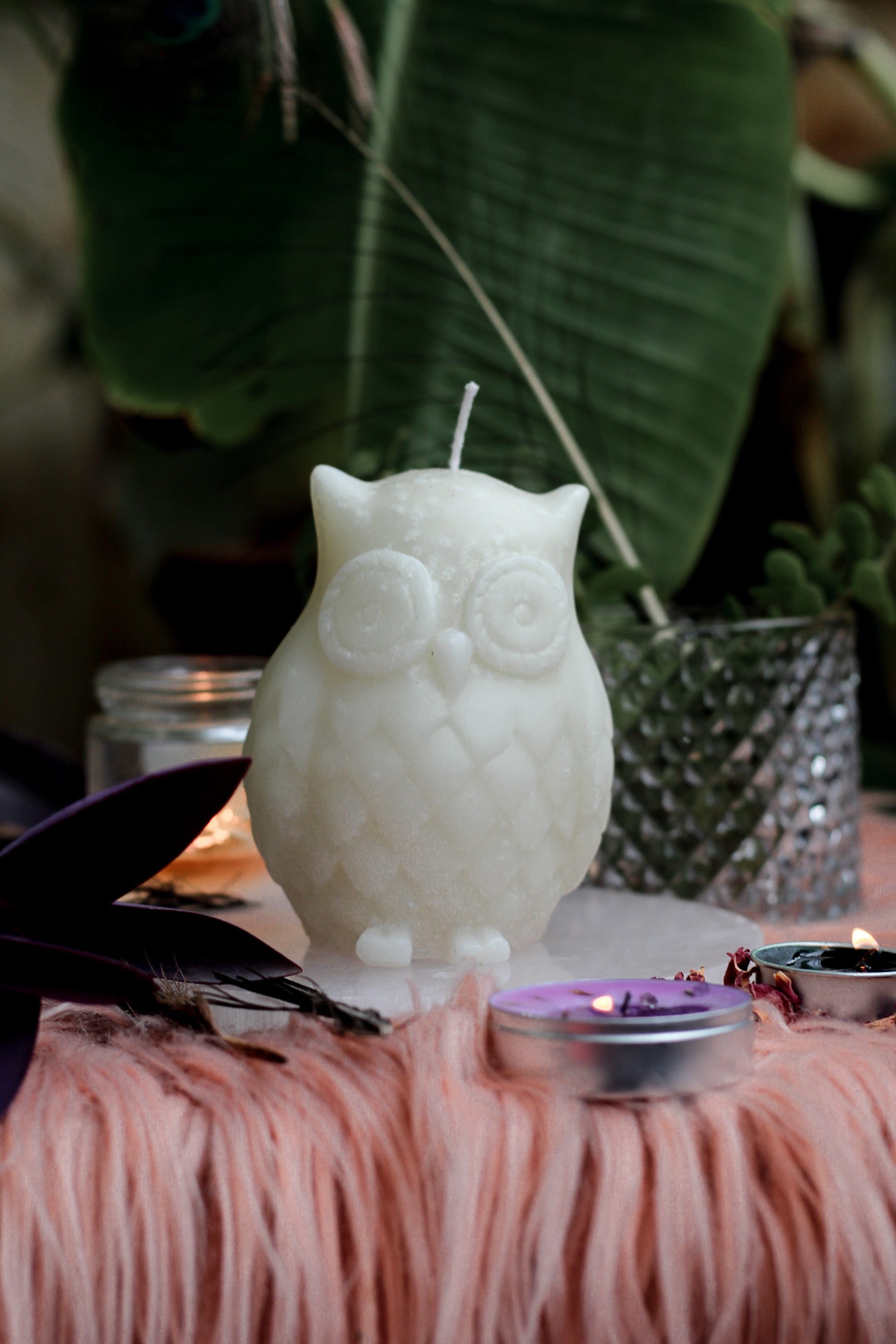 Owl Candle