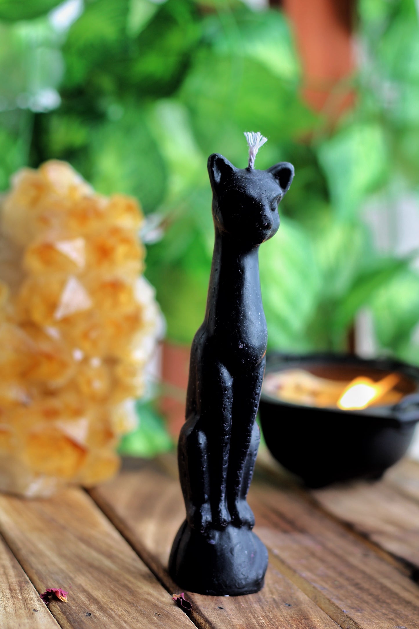 Cat Figure Spell Candle Candles